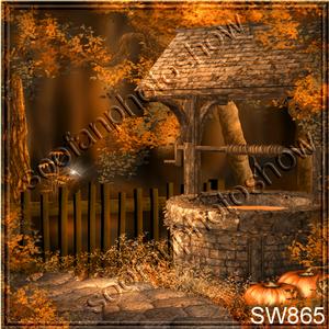 10'x10' sw865B22